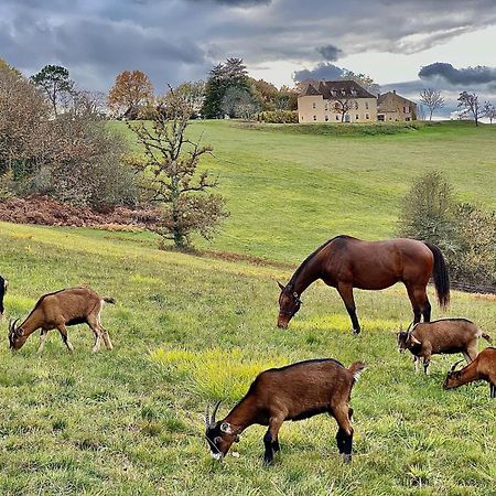 Domaine De Cazal - Chambres D'Hotes Avec Piscine Au Coeur De 26 Hectares De Nature Preservee Saint-Cyprien  Exteriör bild