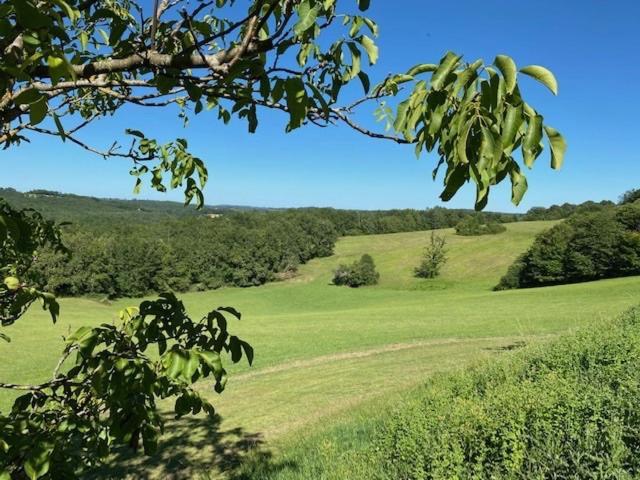 Domaine De Cazal - Chambres D'Hotes Avec Piscine Au Coeur De 26 Hectares De Nature Preservee Saint-Cyprien  Exteriör bild
