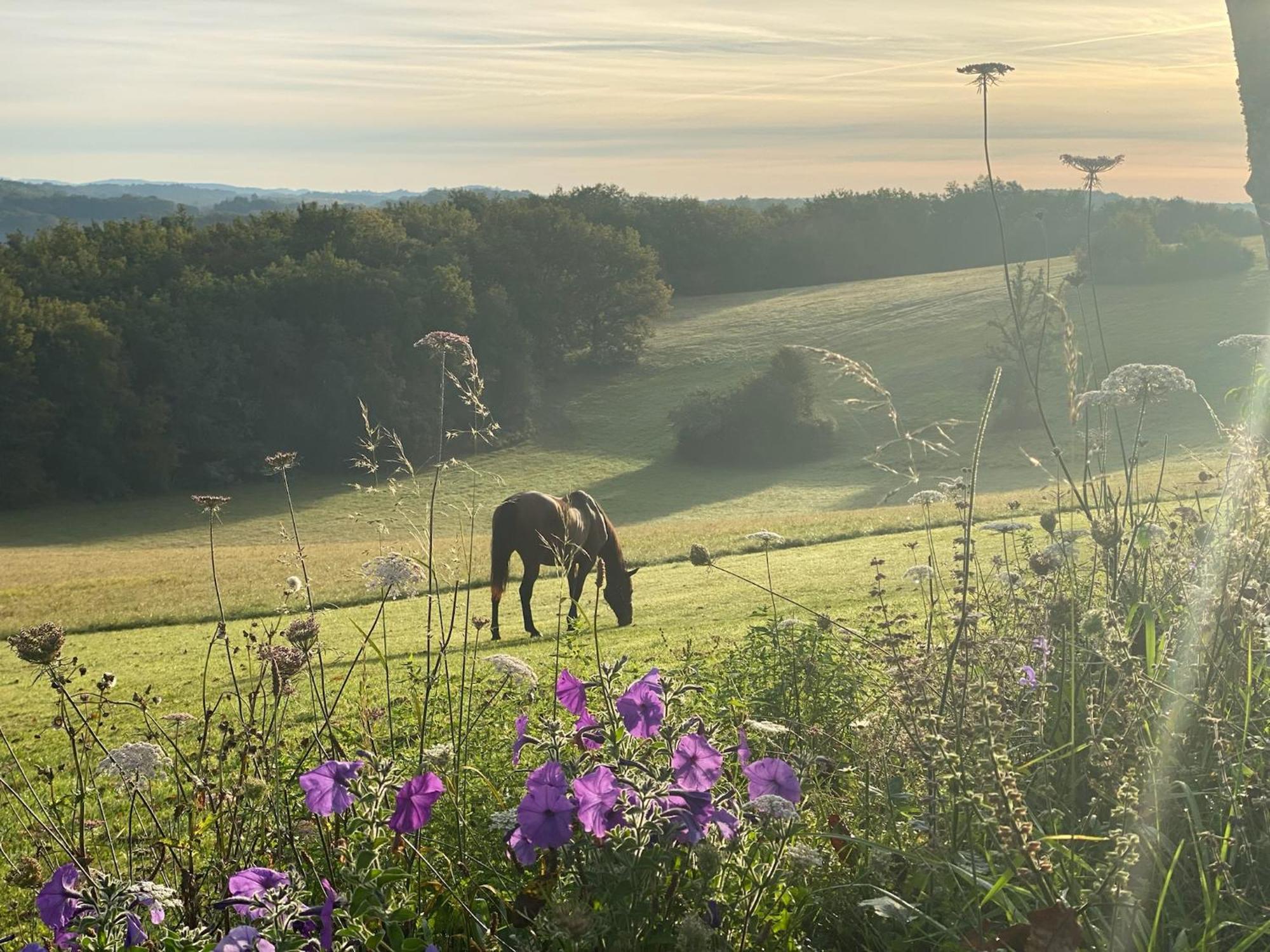 Domaine De Cazal - Chambres D'Hotes Avec Piscine Au Coeur De 26 Hectares De Nature Preservee Saint-Cyprien  Exteriör bild